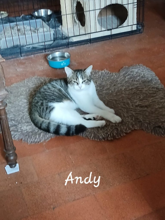 Andy sur un tapis