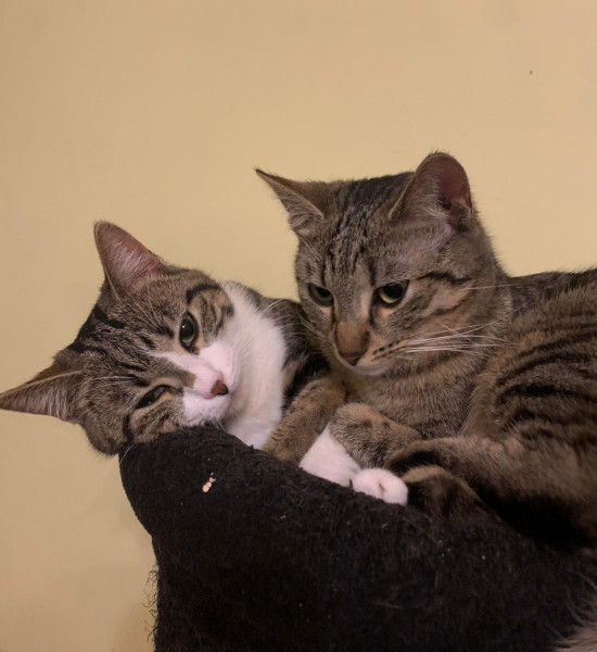 Arielle avec sa soeur